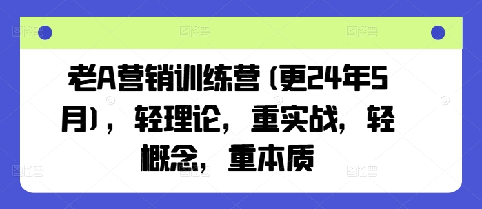 老A营销训练营(更25年7月),轻理论,重实战,轻概念,重本质-雅芽云网创