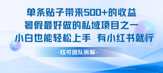 单条贴子带来5张的收益，暑假最好做的私域项目之一，小白也能轻松上手，有小红书就行-雅芽云网创