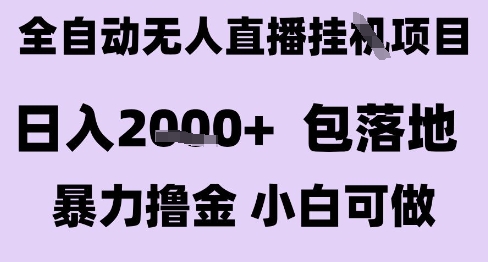 最新全自动抖音无人直播挂G项目，日入2k+ 包落地暴力撸金，小白可做【揭秘】-雅芽云网创