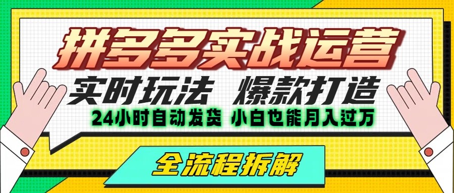 拼多多最新实战运营高投产:长久稳定项目,单店利润一天三位数-雅芽云网创