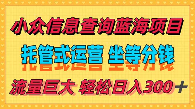稳定日入300＋，小众信息查询蓝海项目，全程懒人式托管，解放你的时间-雅芽云网创