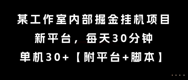 某工作室内部掘金挂G项目，新平台，每天30分钟，单机30+【揭秘】-雅芽云网创