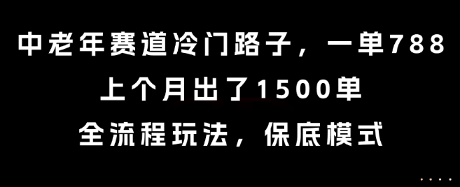 中老年赛道冷门路子,一单788,上个月出了1500单,全流程玩法,保底模式【揭秘】-雅芽云网创