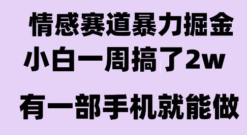 情感暴力掘金项目，新人操作一周挣了2W，长期稳定小白可做【揭秘】-雅芽云网创