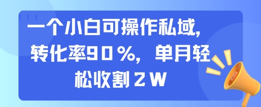 一个小白可操作私域,转化率90%,单月轻松收割2W-雅芽云网创