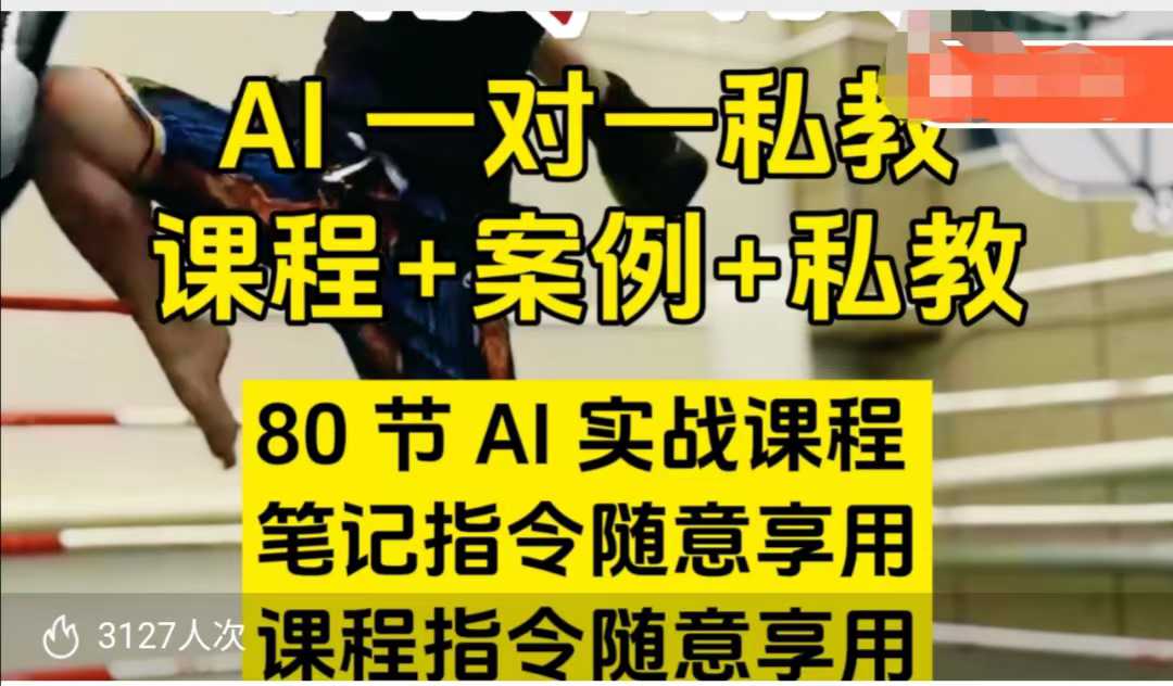 AI指令实战课,课程+案例,80节AI实战课程,笔记指令随意享用,课程指令随意享用(更新7月)-雅芽云网创