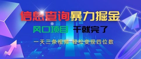 信息查询暴力掘金，一天三条视频，轻松变现四位数，风口项目干就完了【揭秘】-雅芽云网创