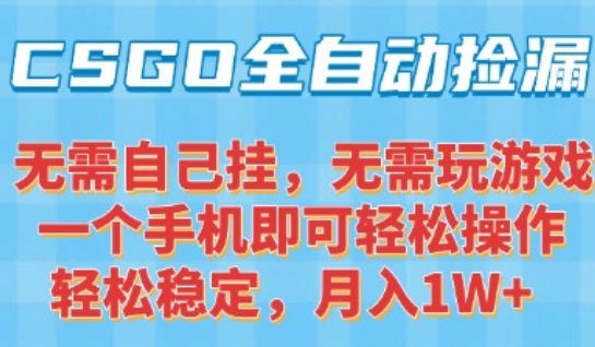 CSGO自动捡漏项目，最新独家玩法，一个手机可操作，新手小白轻松月入1W+，操作简单易上手【揭秘】-雅芽云网创